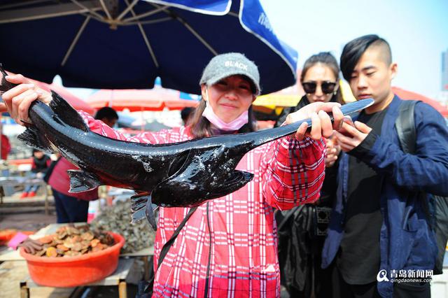 高清：积米崖开售鸭嘴鱼 200元一条模样怪异