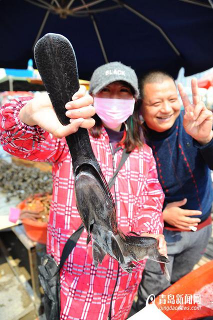 高清：积米崖开售鸭嘴鱼 200元一条模样怪异