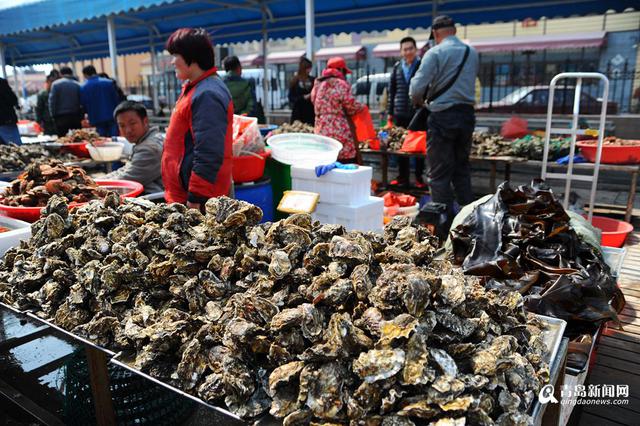 高清：春日渔港海捕对虾抢镜 最大单只三两重