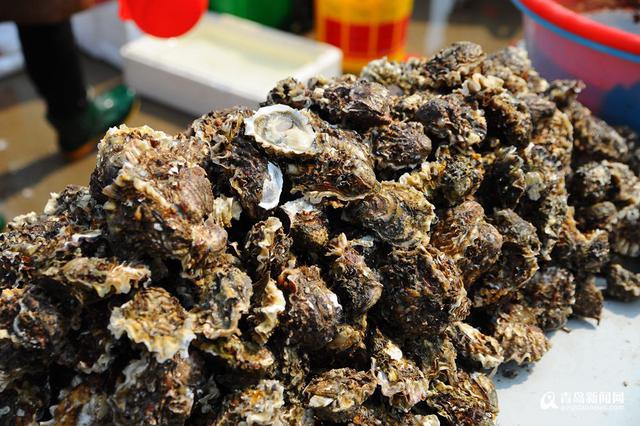 高清:灵山岛石夹红花盖蟹大量上市 味道鲜美 高清:灵山岛石夹红花盖蟹大量上市 味道鲜美