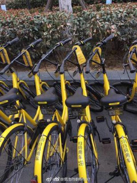ofo共享单车正式进驻青岛 黄岛区已实现覆盖