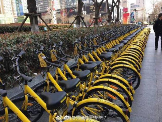 ofo共享单车正式进驻青岛 黄岛区已实现覆盖