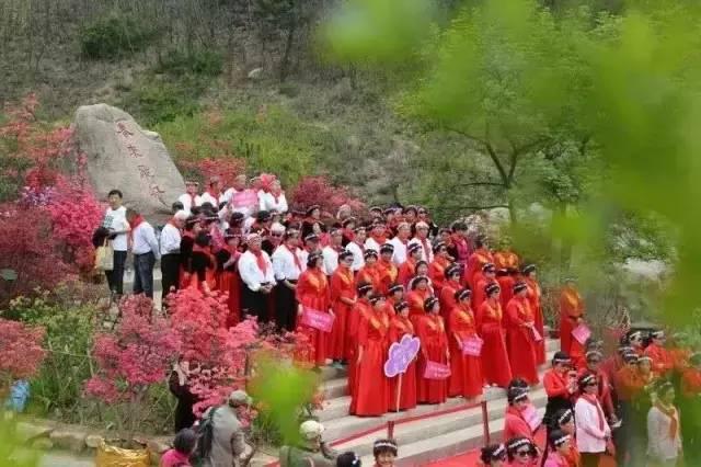 关注青岛新闻网微信 抢大珠山杜鹃花会门票