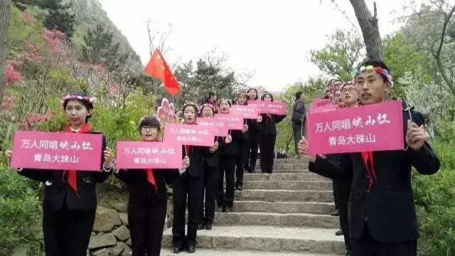 关注青岛新闻网微信 抢大珠山杜鹃花会门票