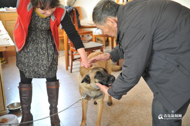 【青岛故事】梅痴老庄 26年成就十梅庵