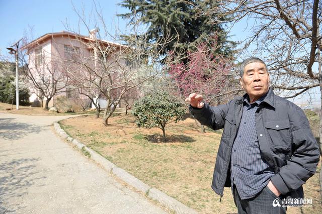 【青岛故事】梅痴老庄 26年成就十梅庵