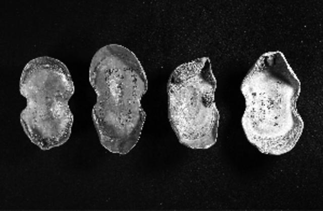 部分银锭带有刻字