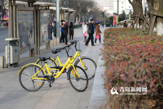 共享单车何去何从 近七成青岛网友仍看好