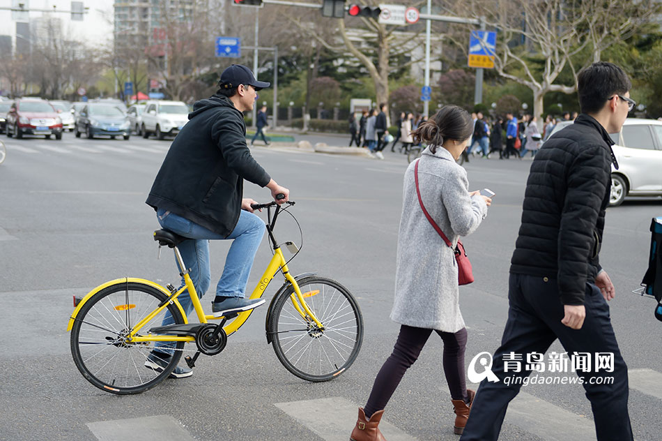 共享单车何去何从 近七成青岛网友仍看好