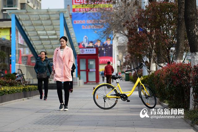 共享单车何去何从 近七成青岛网友仍看好