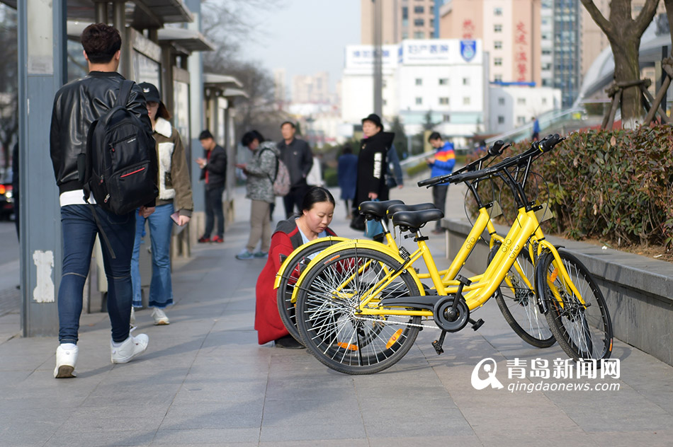 共享单车何去何从 近七成青岛网友仍看好