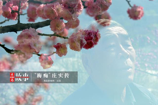 【青岛故事】梅痴老庄 26年成就十梅庵