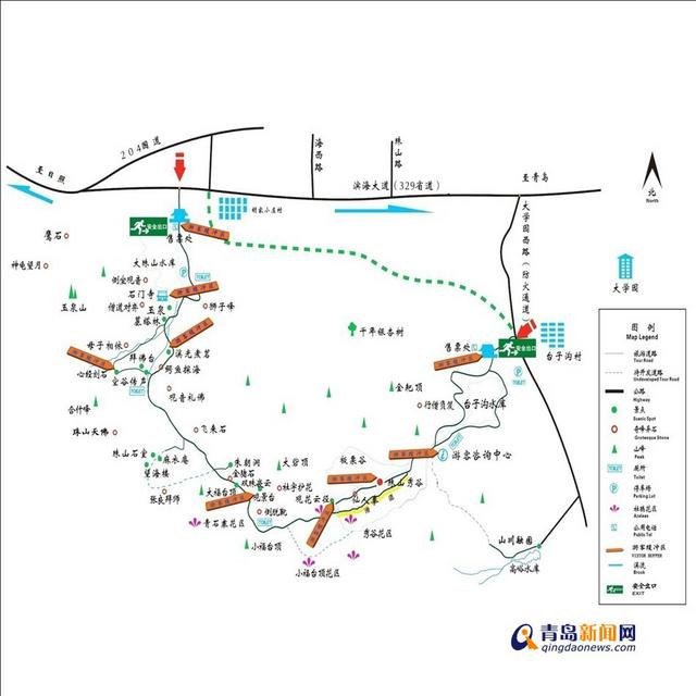 三月踏春好时节 青岛杜鹃花观赏攻略出炉