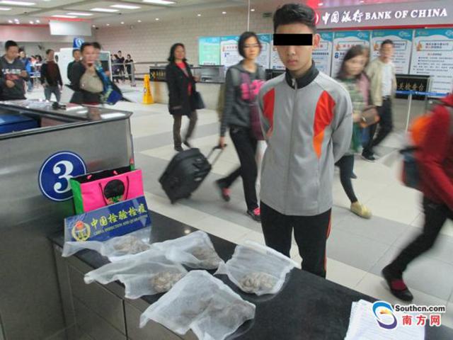 男子携5条活蛇吓到海关人员 系国家二级保护动物 男子携5条活蛇吓到海关人员 系国家二级保护动物
