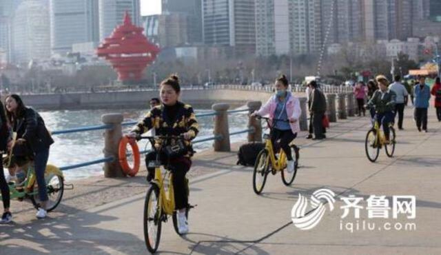 共享单车入驻青岛遇尴尬 没有自行车道去哪儿骑 共享单车入驻青岛遇尴尬 没有自行车道去哪儿骑