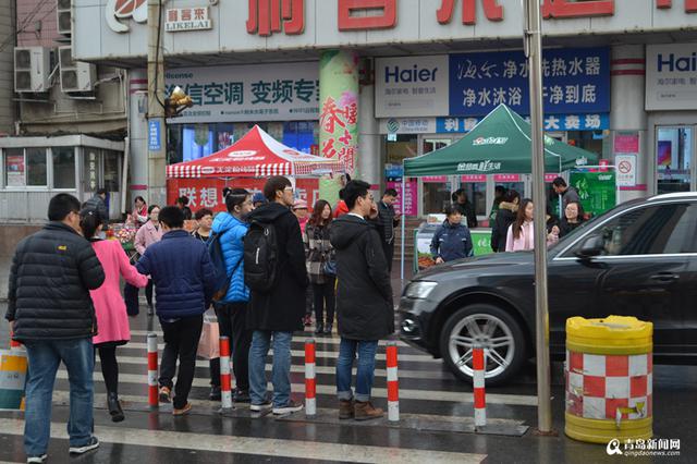 【畅安青岛】礼让斑马线 仅三成司机能做到