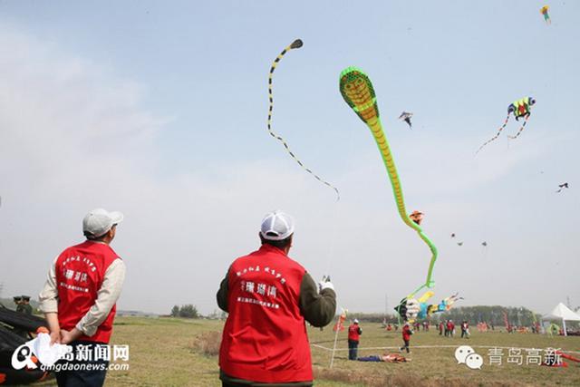 4月去红岛放风筝 国际风筝节4月22日举行