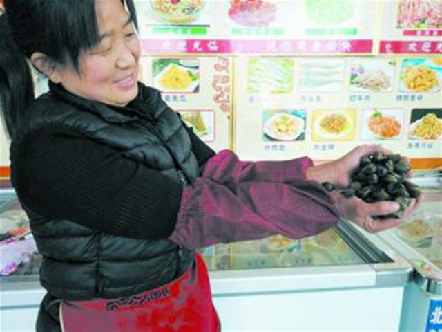 大沽河特产河鲜蚬子上市 10元一斤很抢手