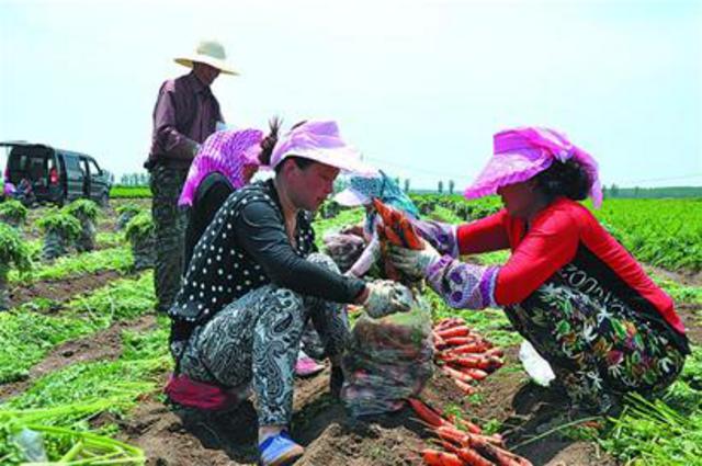 莱西店埠镇打造航空产业文化旅游风景区