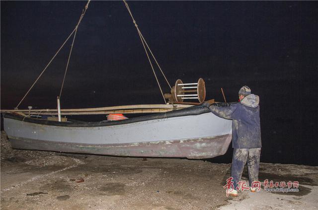 实拍青岛渔民古法巧捕八带鮹