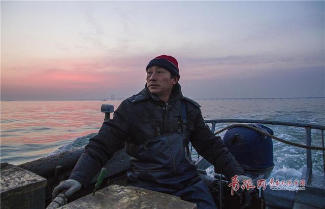 实拍青岛渔民古法巧捕八带鮹