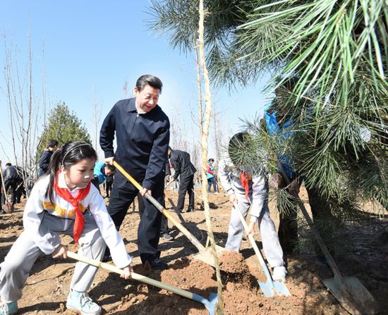 听习近平讲植树节的意义