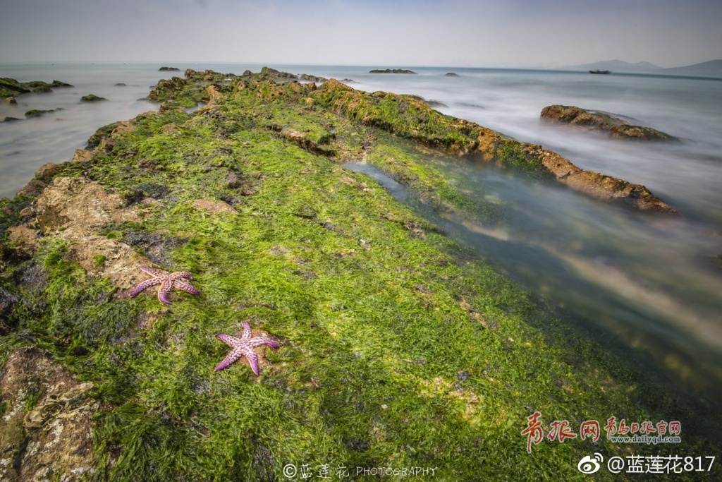 青岛这座小小的离岛 有你想要的诗和远方