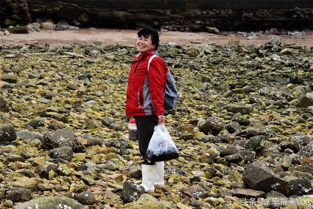 前海一线海蛎子日渐肥美