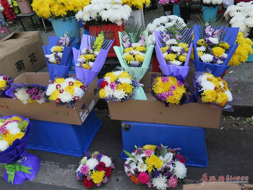 清明文明祭扫深入人心素雅菊花花市热销图