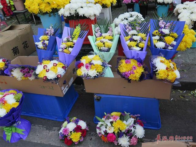 清明文明祭扫深入人心 素雅菊花花市热销