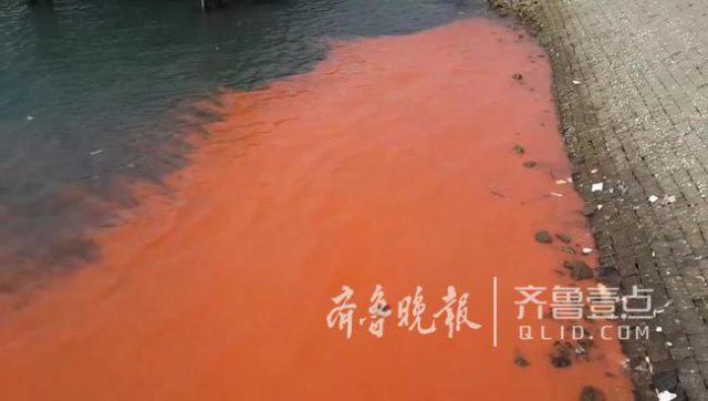 一片赤红！奥帆中心附近海面变这样了咋回事？