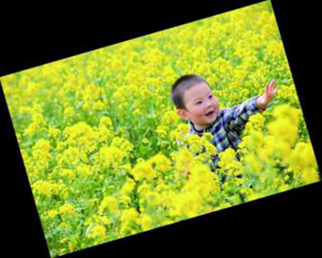 带你玩：春在枝头花意闹 清明时节好踏青(图)