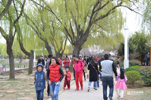 高清：赏花划船放风筝 清明节世纪公园人鼓了
