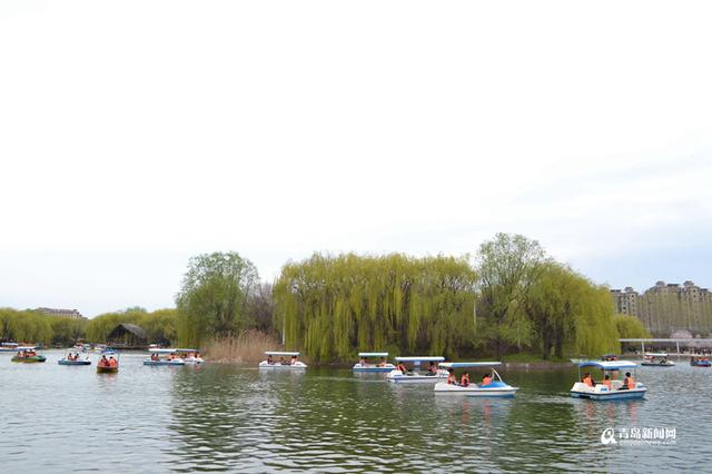 高清：赏花划船放风筝 清明节世纪公园人鼓了