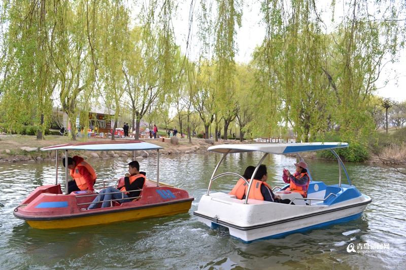 高清：赏花划船放风筝 清明节世纪公园人鼓了