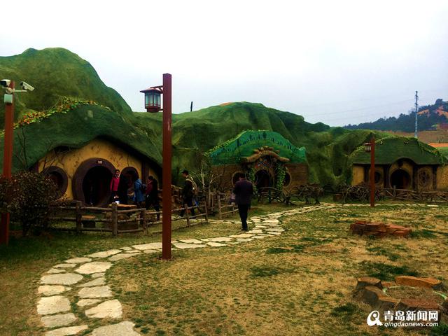 高清：西海岸再现'耀眼黄' 油菜花华丽绽放