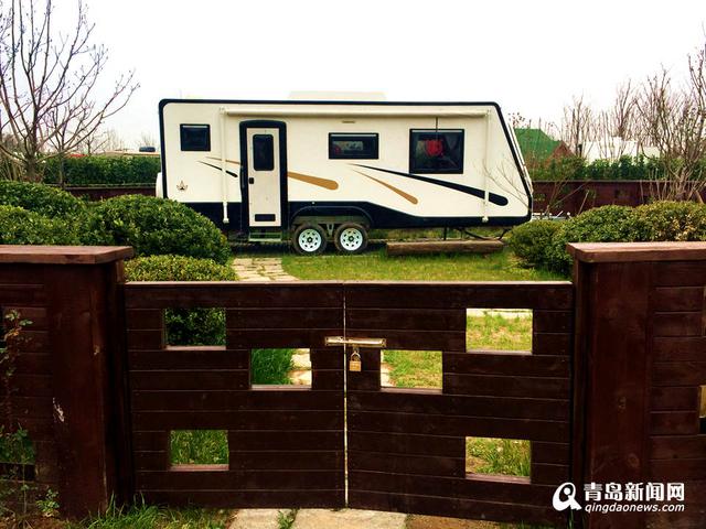 高清：西海岸再现'耀眼黄' 油菜花华丽绽放