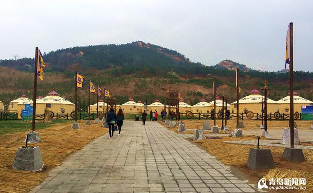 高清：西海岸再现'耀眼黄' 油菜花华丽绽放