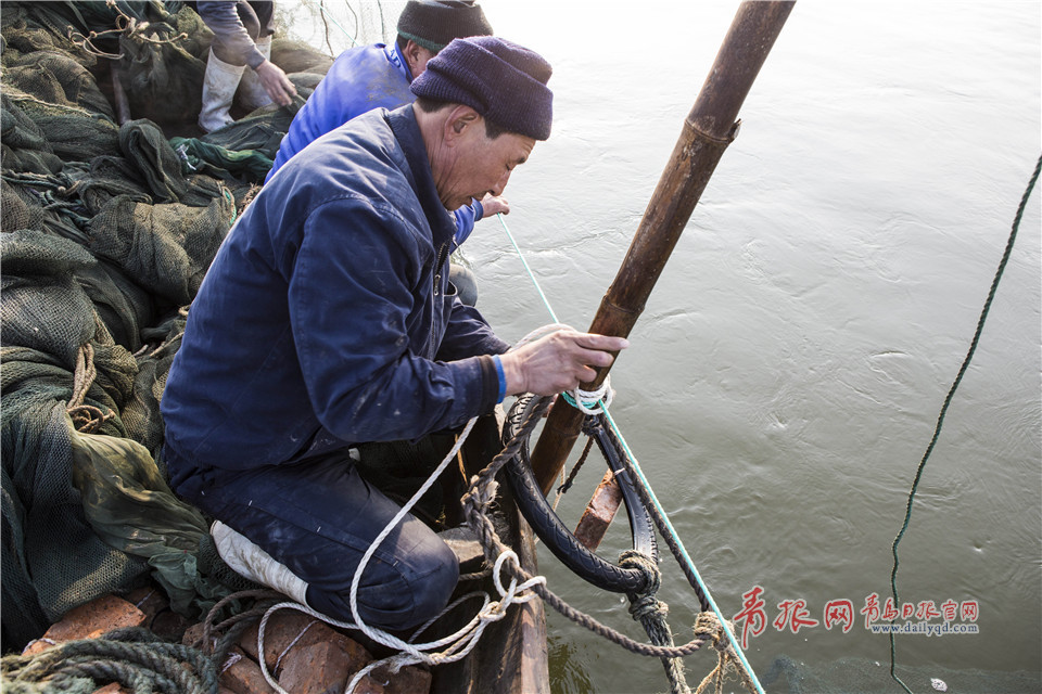 实拍青岛渔民海捕小虾制虾酱 这种老手艺或将消失