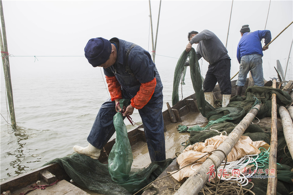 实拍青岛渔民海捕小虾制虾酱 这种老手艺或将消失