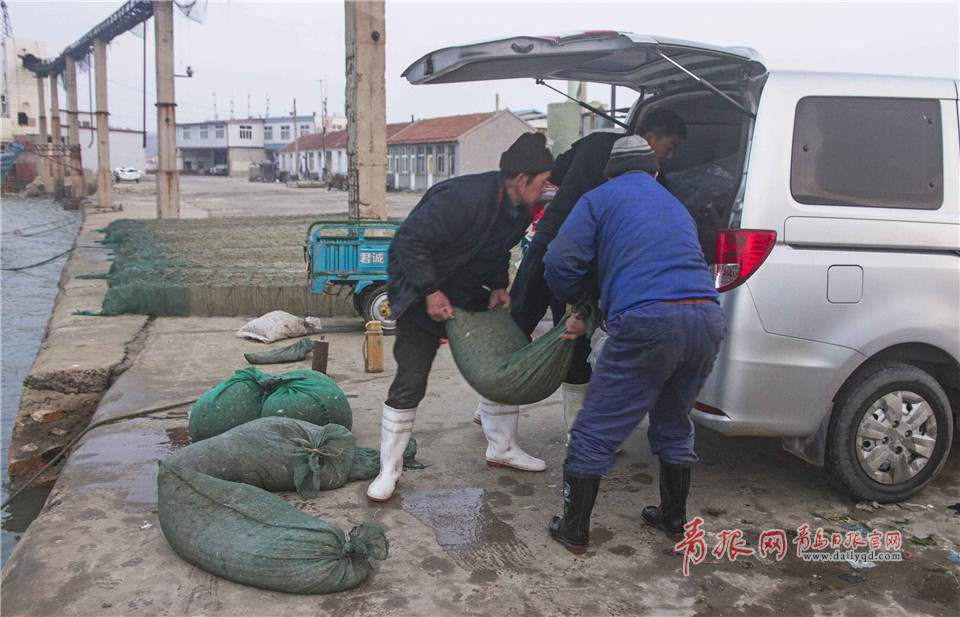 实拍青岛渔民海捕小虾制虾酱 这种老手艺或将消失