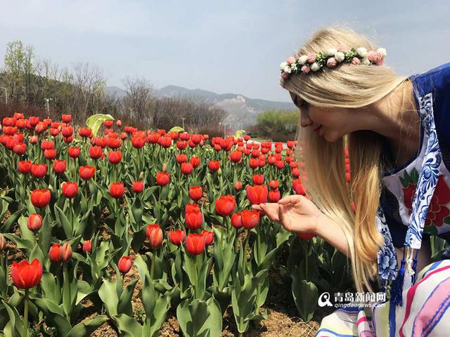 高清:周末到世博园赏花啦 欧洲名贵花海节开幕