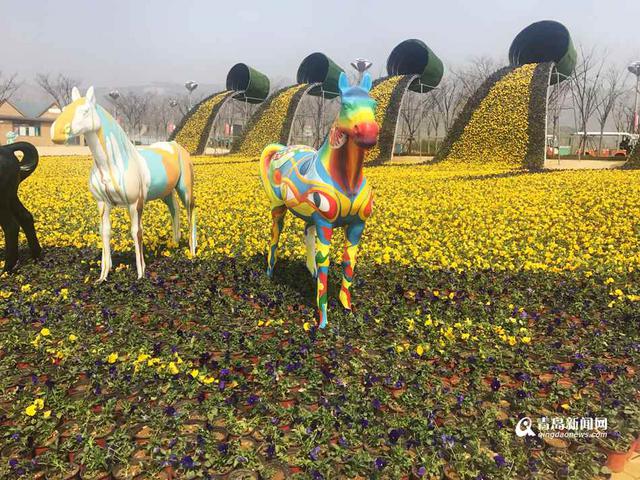 高清:周末到世博园赏花啦 欧洲名贵花海节开幕 高清:周末到世博园赏花啦 欧洲名贵花海节开幕