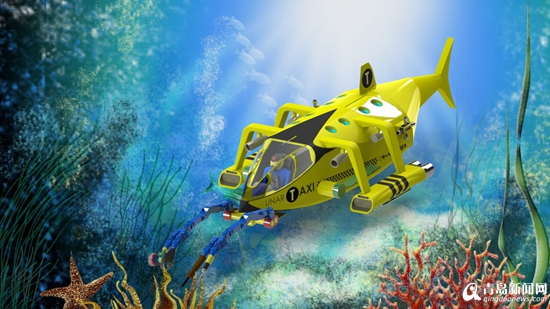 青岛农大设计出水下机器人 获全国大赛一等奖