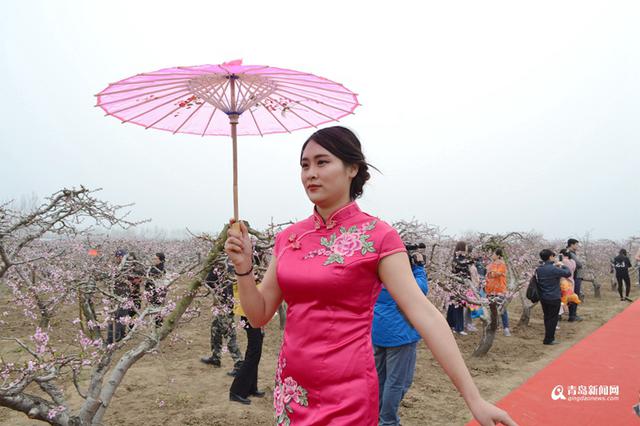 高清：胶州万亩桃花盛开 万朵红中上演模特秀