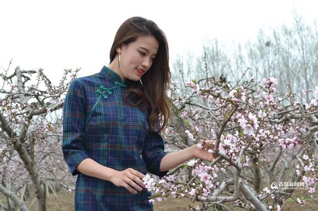 高清：胶州万亩桃花盛开 万朵红中上演模特秀