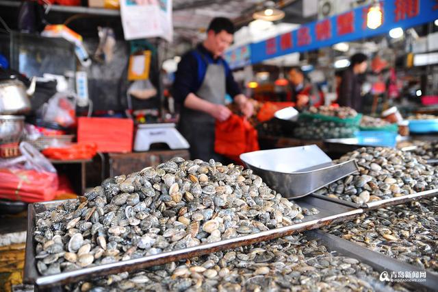 高清:本地红岛蛤蜊肥美上市 每斤7.5元尝鲜喽