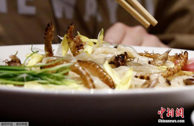 日本推出昆虫拉面 食客排长队品尝暗黑料理
