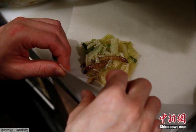 日本推出昆虫拉面 食客排长队品尝暗黑料理