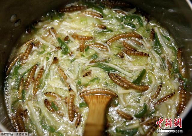 日本推出昆虫拉面 食客排长队品尝暗黑料理